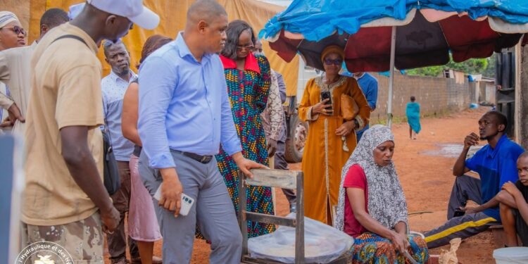 Lutte contre l&rsquo;insalubrité urbaine: une mission d&rsquo;évaluation de la gestion des déchets solides du Ministère de l’Hydraulique et des Hydrocarbures dans la commune de Ratoma 