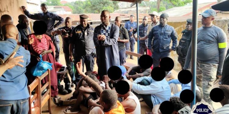 Lutte contre la drogue: 23 personnes interpellées et une importante saisie de stupéfiants à Sonfonia