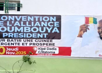 L&rsquo;Alliance Doumbouya Président (ADP) affiche son soutien indéfectible à la candidature de Mamadi Doumbouya