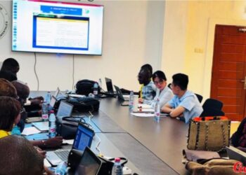 Session du CTAE sur le projet minier de GUINEA UNIVERSAL MINING COMPANY SARLU : Validation de la Notice d’Impact Environnemental et Social (NIES)
