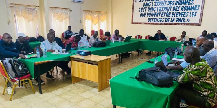Session du CTAE sur le projet d’expansion du gisement de bauxite de Kobéléta : Validation des Termes de Référence de l’EIES