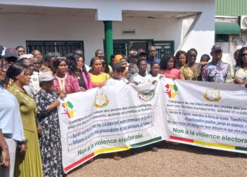 Conakry: sensibilisation des jeunes des partis politiques pour une élection présidentielle apaisée en Guinée 