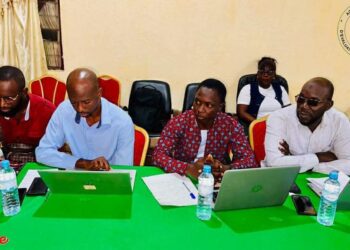 Guinée: Session d’analyse et de validation du PARC du projet d’exploitation de bauxite du Groupe CIRE MADY MINING SA par l&rsquo;AGEE