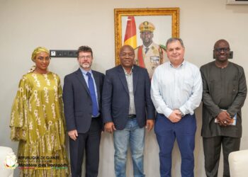 Transport urbain: le Royaume-Uni et la Guinée explorent des partenariats pour le Tramway de Conakry