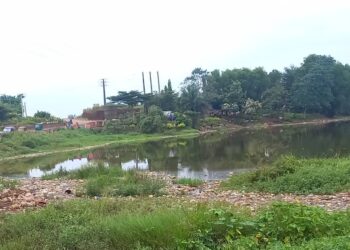 Le lac de Sonfonia en danger : « Si rien n’est fait, il va disparaître», alerte Abdourahmane Diakité consultant des questions environnementales 