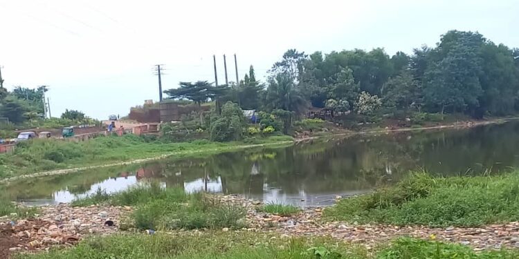 Le lac de Sonfonia en danger : « Si rien n’est fait, il va disparaître», alerte Abdourahmane Diakité consultant des questions environnementales 