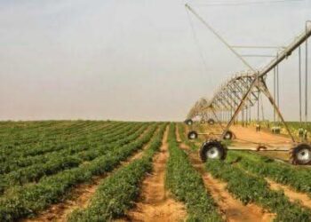 Le Sénégal lance l’initiative AgriConnect pour renforcer sa souveraineté alimentaire