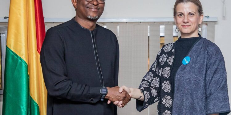 Éducation: la Guinée renforce sa coopération pour la redynamisation du système éducatif 