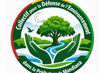 Menace environnementale: Un appel solidaire aux jeunes de Siguiri par le Collectif pour la Défense de l&rsquo;Environnement dans la Préfecture de Mandiana