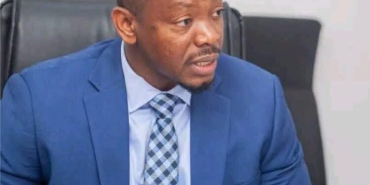 Le Président Mamadi Doumbouya  nomme Mamadou Angelo Diallo délégué général de l’Unité d’exécution du Programme Simandou 2040