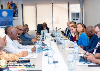 Renforcement des infrastructures de transport en Guinée: des investisseurs français manifestent un intérêt stratégique