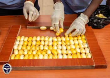 Lutte contre le trafic de cocaïne: 106 boules saisies par l&rsquo;Office Central Anti-Drogue (OCAD)