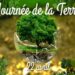 Journée Internationale de la Terre : GREEN TRANSFORMATION 2050 appelle à une action radicale pour restaurer notre « Terre nourricière »