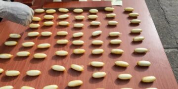 Trafic de cocaïne: 145 boules saisies par l’OCAD à l’Aéroport International Ahmed Sékou Touré de Conakry