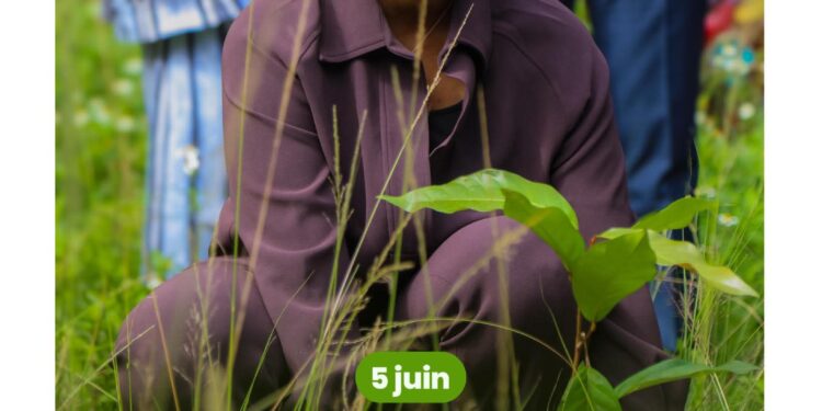 Journée mondiale de l’environnement: la Ministre Djami Diallo invite à une action concertée en faveur de la nature
