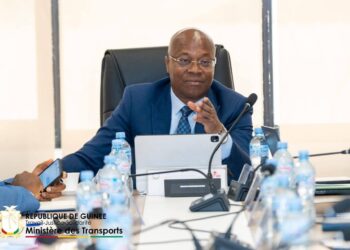 Conakry : Bientôt 50 taxis électriques en circulation