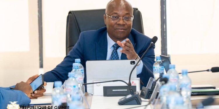 Conakry : Bientôt 50 taxis électriques en circulation