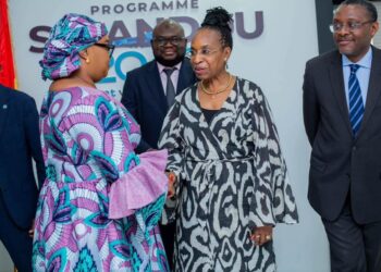 Coopération: la Guinée et l’ONUDI renforcent leur partenariat pour l’industrialisation du pays
