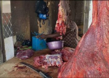 Baisse du prix de la viande à Labé : un ouf de soulagement pour les consommateurs