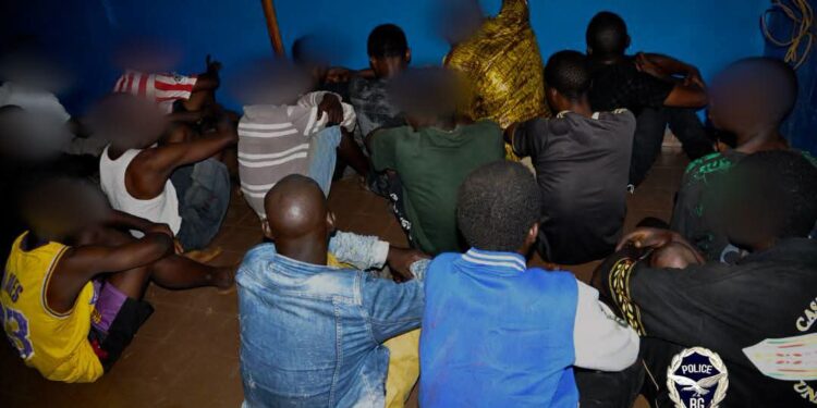 Nongo: 16 personnes interpellées et d’importantes quantités de stupéfiants saisies par la Police