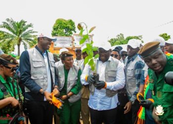Restauration forestière: le Ministre Fassou Théa lance la création de 100 hectares de plantation à Kindia