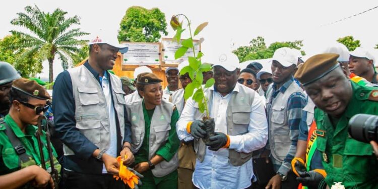 Restauration forestière: le Ministre Fassou Théa lance la création de 100 hectares de plantation à Kindia