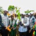 Restauration forestière: le Ministre Fassou Théa lance la création de 100 hectares de plantation à Kindia