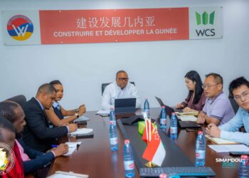 Réhabilitation de la décharge de Dar-es-Salam : le ministre Aboubacar Camara fixe le cap pour le lancement des travaux