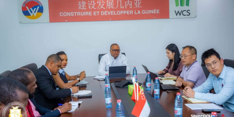 Réhabilitation de la décharge de Dar-es-Salam : le ministre Aboubacar Camara fixe le cap pour le lancement des travaux