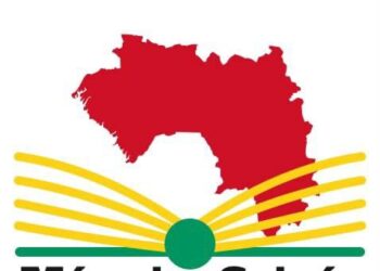 TLP-Guinée lance officiellement la Plateforme participative et sécurisée https://memoireguinee.org