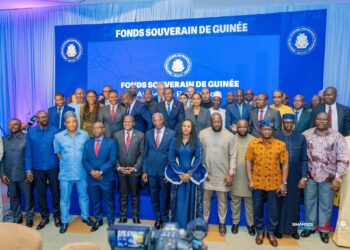 Economie: la Guinée pose les jalons de son Fonds Souverain lors d’un atelier de restitution