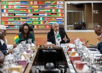 Coopération Guinée–BAD : vers une alliance renforcée autour du Programme Simandou 2040