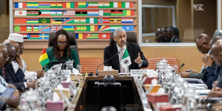 Coopération Guinée–BAD : vers une alliance renforcée autour du Programme Simandou 2040